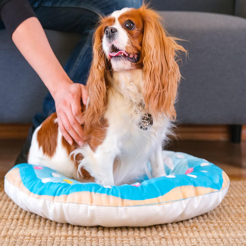 Happycare Tex 3D Realistic Donut Print Pets Bed