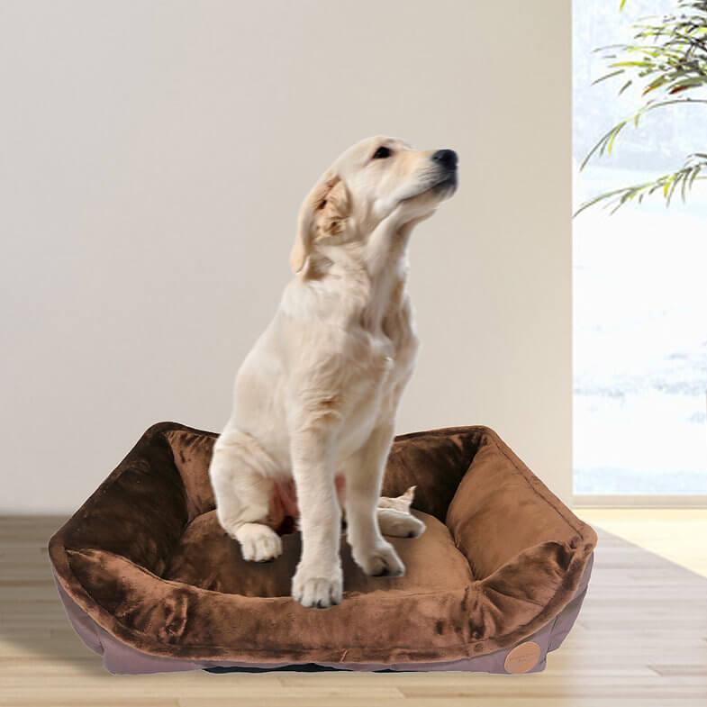 Happycare Tex Durable Dog Sofa Bed