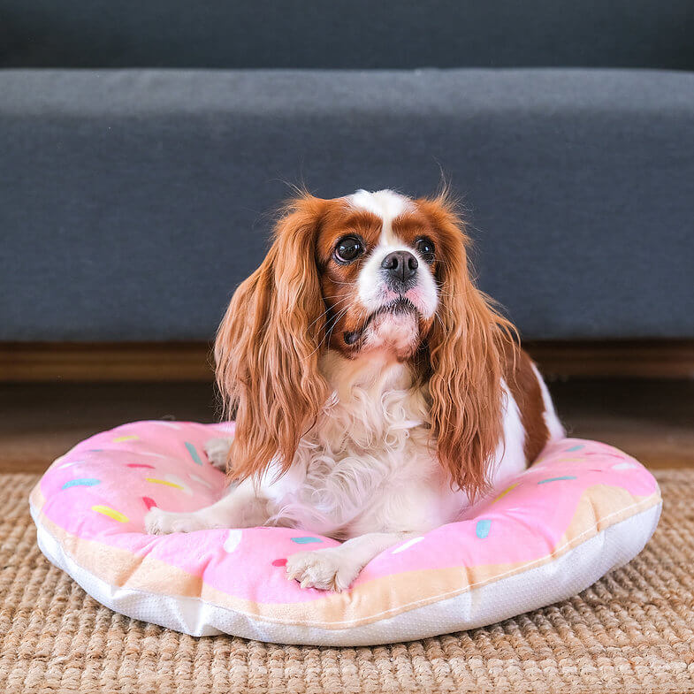 Happycare Tex 3D Realistic Donut Print Pets Bed