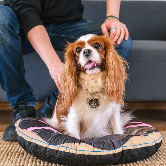 Happycare Tex 3D Realistic Donut Print Pets Bed