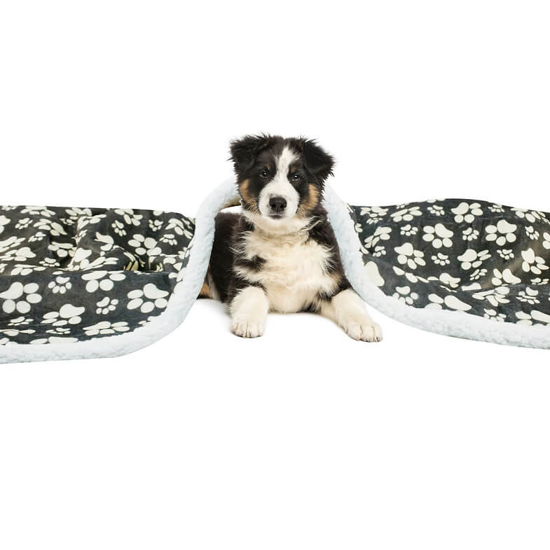 Happycare Tex Ultra soft cozy Flannel Paw Print & Sherpa pet Blanket